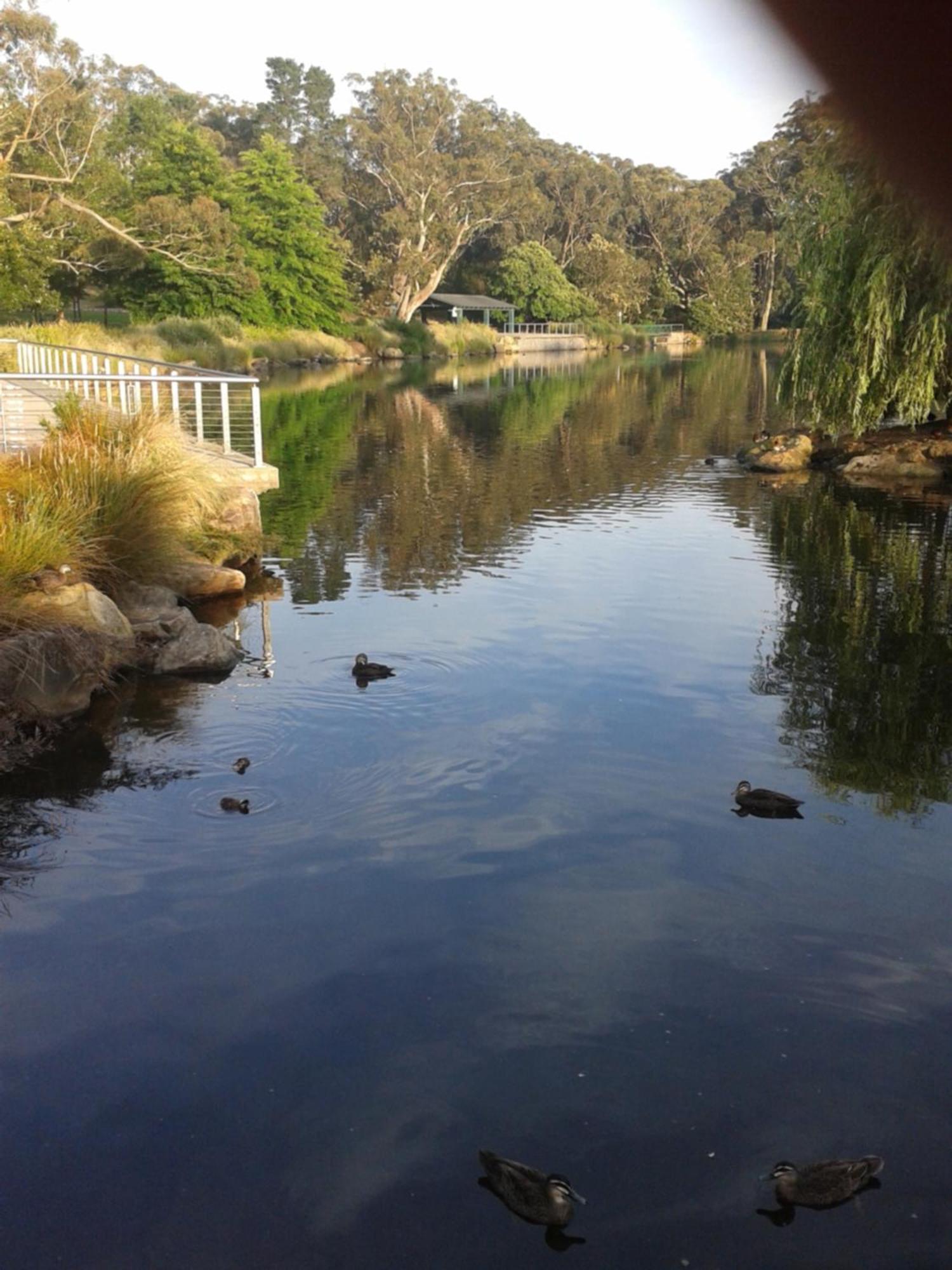 Bowral Road Art Gallery Bed And Breakfast Mittagong Exterior foto